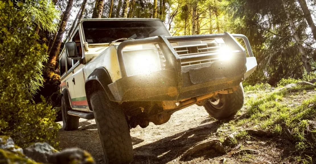 Jeep w lesie
