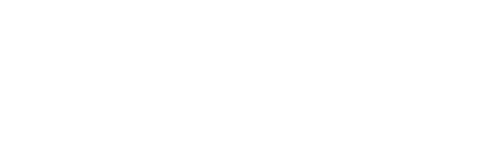 Viggen Auto
